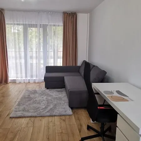 Hasdeu Apt Apartment